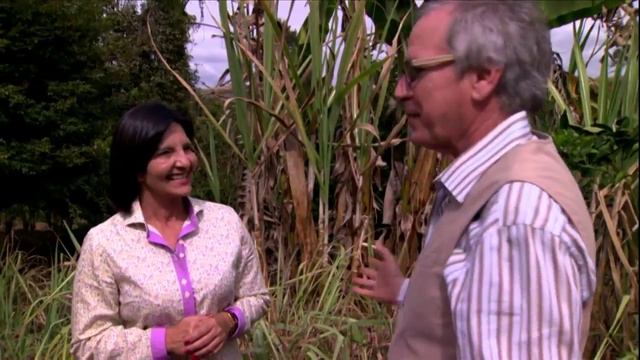 citronela reportagem julho 2014 смотреть онлайн