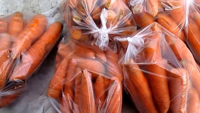 Морковь на зиму смотреть онлайн