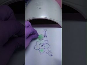 Нарцисс Авалон (без пайки) 3