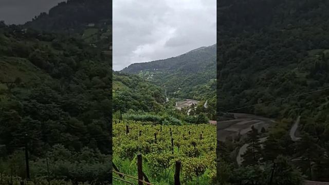 Экскурсия из Батуми на водопады. смотреть онлайн