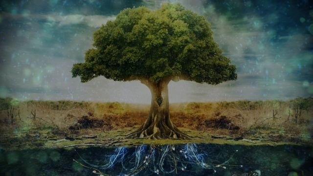 Практика заземления и центрирования.