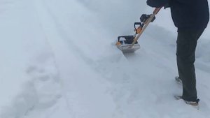 Александр Мишин. Снежные приключения... (04.12.2023)