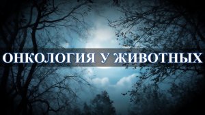 Рак у животных. Происхождение и энергетические причины.