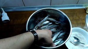 Мойва вяленая. Таранка в сушарке.