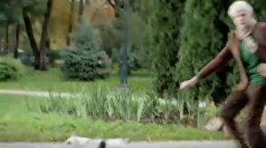 Трибестан ОК - не ОК