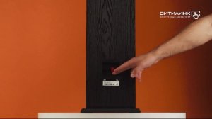 Обзор фронтальной колонки POLK AUDIO T50 | Ситилинк