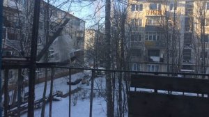 Кормушка для синиц