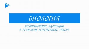 11 Класс - Биология - Возникновение адаптаций в результате естественного отбора.