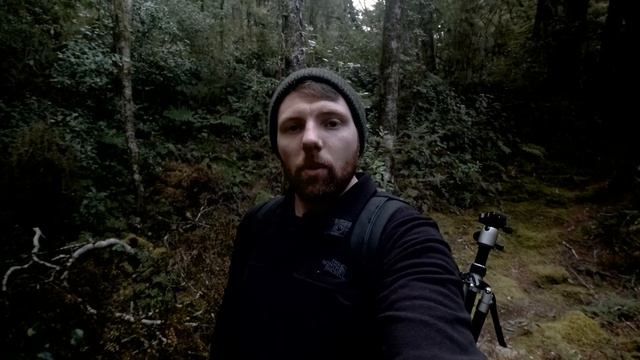 Fujifilm X-H2 Landscape and Woodland Photography смотреть онлайн