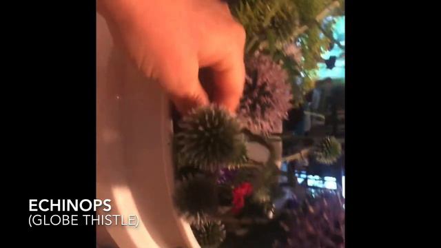 Late July flower bucket tour смотреть онлайн