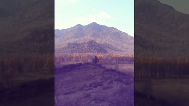 природа в сердце Г Алтая смотреть онлайн