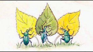 Стадион Жукамо. В.Бианки.mp4