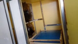 сушилка для грибов