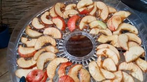 Сушилка для овощей и фруктов Supra DFS-311, супер, рекомендую