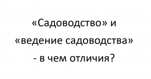 «Садоводство» и «ведение садоводства» - в чем отличия?