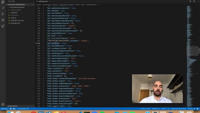 VS Code Setting: git.pullTags смотреть онлайн