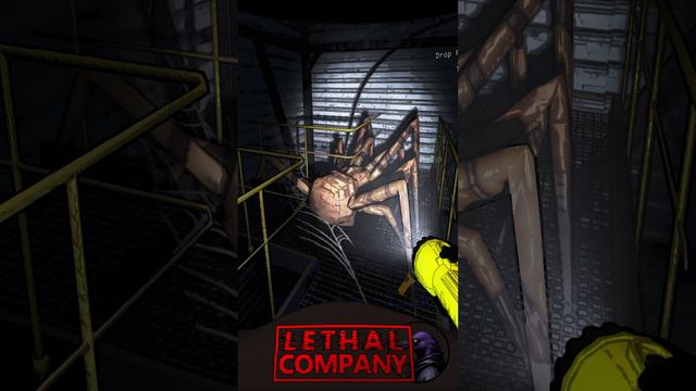 Пристал к пауку #lethalcompany