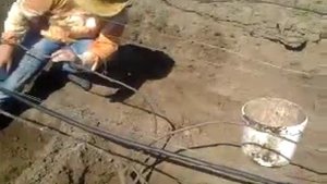 ВИНОГРАД. Посадка лозой
