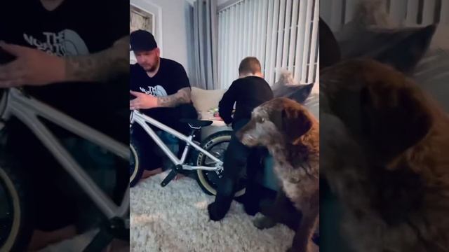 Early Rider Bike Unboxing - Hellion 16” #newbike #unboxing смотреть онлайн