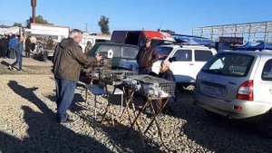 Ярмарка голубей в Ростове на Дону. Голуби из Аюты, статные из Морозовска, мраморные из Александровк