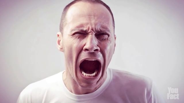 ЧТО БУДЕТ ЕСЛИ НАСЫПАТЬ СОЛЬ НА РАНУ смотреть онлайн