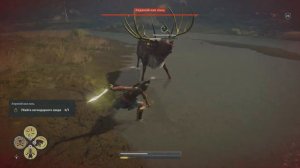 Киринейская Лань Assassin's Creed Одиссея