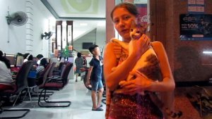 Вьетнамский суп Фо Бо за 1$ | Котики в Нячанге