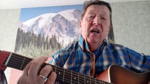 За окошком снегири.  (cover)