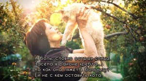 ОЧЕНЬ ТРОГАТЕЛЬНО 💖 «Ей не с кем оставить кота» Вера Бутко