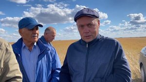 Уборка льна очесывающей жаткой