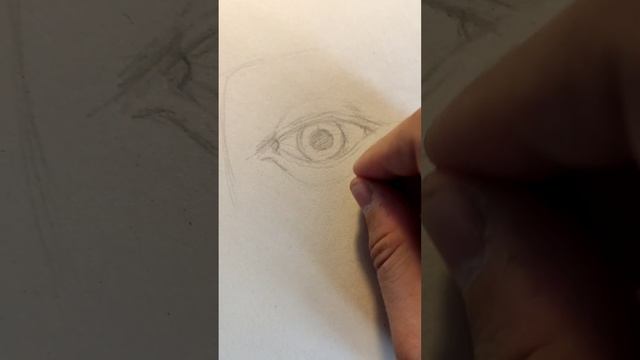 Как нарисовать глаз человека карандашом. смотреть онлайн