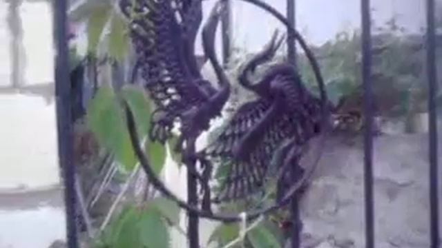 кованные изделия для сада смотреть онлайн