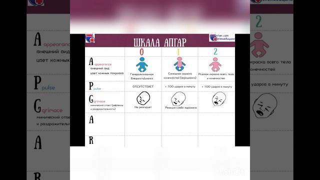 Pediatriya. Apgar shkalasi.Tarjima. смотреть онлайн
