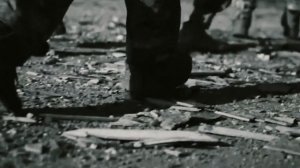 РУССКИЕ_ВПЕРЕД_ОБРАТНАЯ_ПЕРСПЕКТИВА_80mb