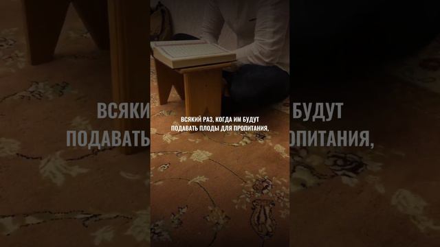 Махди Аш-Шишани #islam #quran