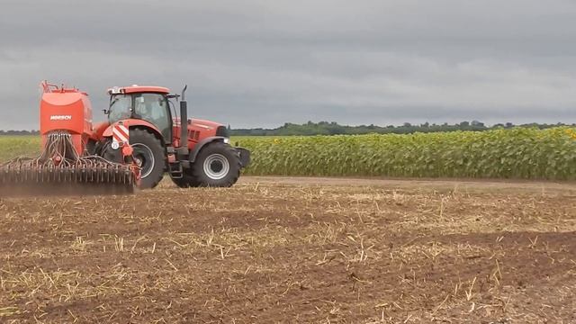 CASE Puma 225 & HORSCH Pronto 4 DC на посеве проса летом 13,07,2020 смотреть онлайн