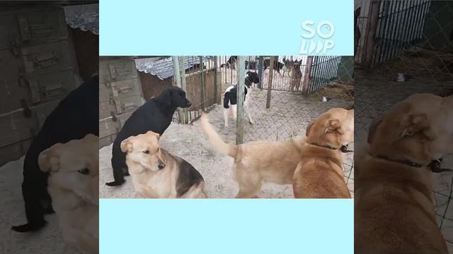 У нас сегодня - ДЕНЬ СТОЛЬНИКА!🤗🙏💯 смотреть онлайн