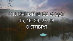 Прогноз Клёва Рыбы на Октябрь 2021. Календарь рыбака. Календарь рыбака на эту неделю.