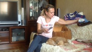 Вязанный комбинезон для таксы