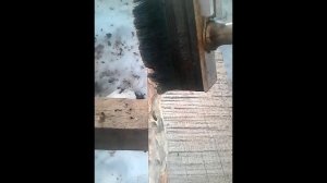 Как предотвратить поедание древесины вредителями!!!.mp4