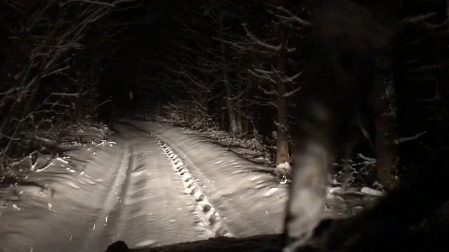 Лесная Зимняя Дорога 12.12.2018 Года!!! смотреть онлайн