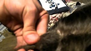 dreadsway. плетение дред крючком, разметка на 6 граней