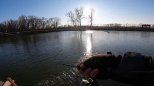 Zetrix Forra FRS-602XUL (1.8 м; 0.5-2.5 г). Обзор.