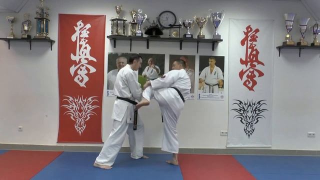 Уроки Кёкусинкай Шихана Алексея Горохова. урок 6. Маваши гери дзёдан со средней дистанции смотреть онлайн