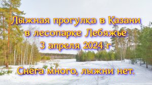 Лыжная прогулка в Казани в лесопарке Лебяжье 3 апреля 2024 г. Снега много, лыжни нет.