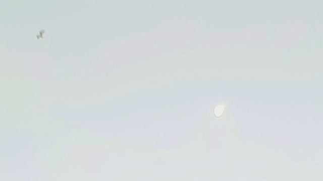 КНИГА ПСАЛТИРЬ. ИЕРОДИАКОН ГЕРМАН РЯБЦЕВ. ПСАЛМЫ 24 - 31 КАФИЗМА 4 смотреть онлайн