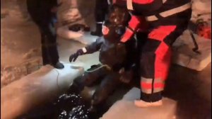 Нашли тело утонувшей женщины в реке Оредеж