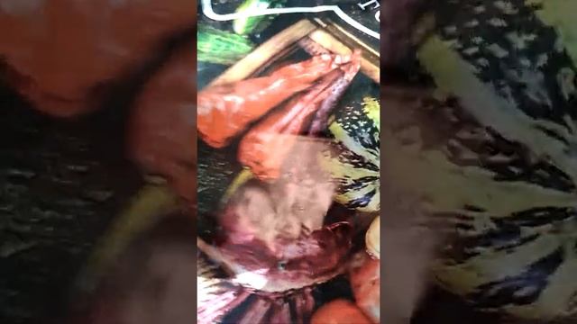 Посадка роз из пакета смотреть онлайн