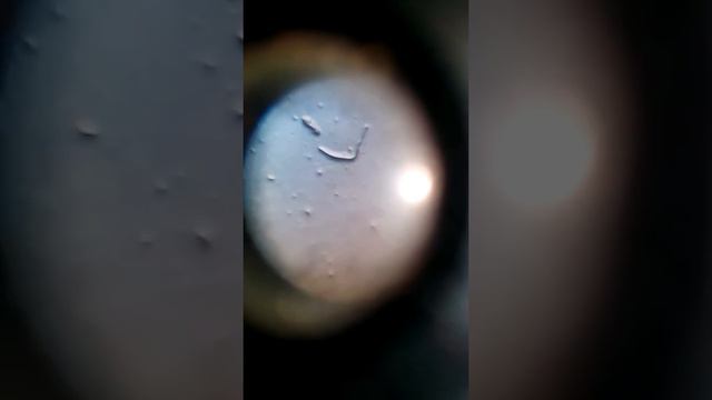 Смотрю на луну в телескоп НЛО👽 смотреть онлайн