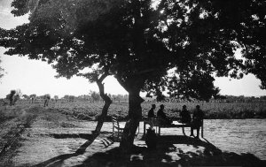 Домулло Ҳалим Ибодов - Domullo Halim Ibodov - Ҳусайнии Наво. Ғазали Ҷазбӣ